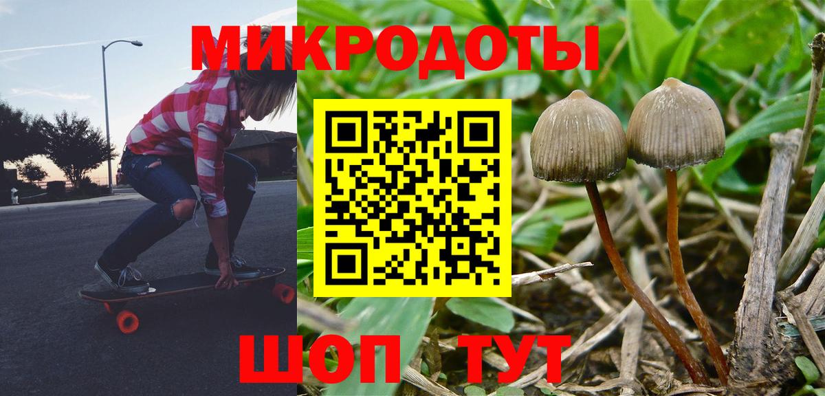 Галлюциногенные грибы Psilocybe Сарапул