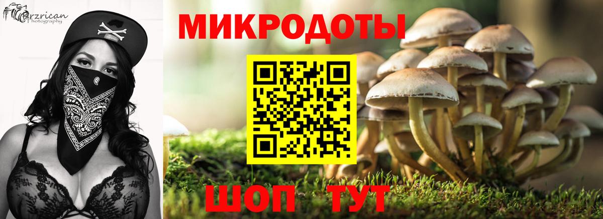 Галлюциногенные грибы GOLDEN TEACHER  купить наркоту  Галлюциногенные грибы ЛСД  Сарапул  Вход с VPN 